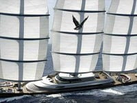 Maltese Falcon di Perini